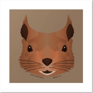 Baby Red Squirrel Face Posters and Art